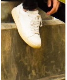 Buffalo Bobs | スニーカー