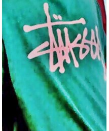 STUSSY | Tシャツ/カットソー