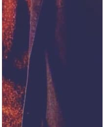 COMME CA STYLE | トレンチコート