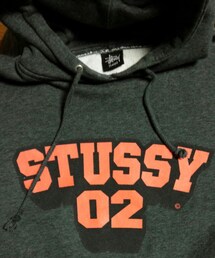 STUSSY | パーカー