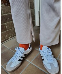 靴下屋 | ソックス/靴下