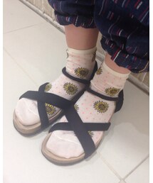 靴下屋 | ソックス/靴下