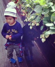 Tシャツ/カットソー