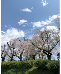 🌸💕 | その他