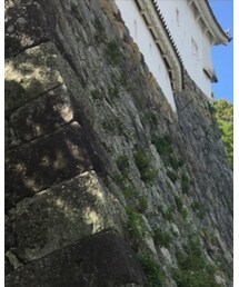 姫路城 | その他