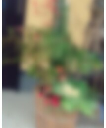 A HAPPY NEW YEAR | その他