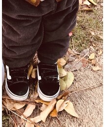 VANS | アクセサリー