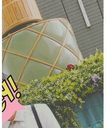 EARTHS ORGANICS Botanicals | その他