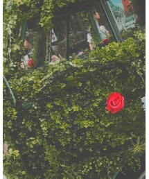 良き休日 | その他