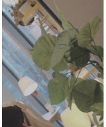 よく出没してます | その他