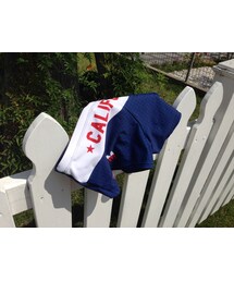 トートバッグにしのばせたTYRのスイムパンツ(その他パンツ)