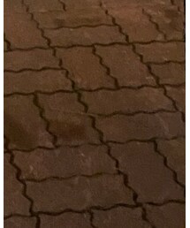 CANAL JEAN | バレエシューズ