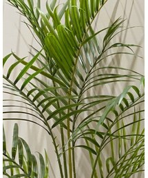 MEI | ショルダーバッグ