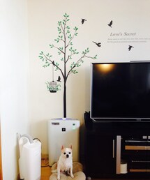 ウォールステッカー | その他