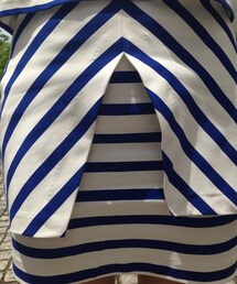 ZARA | ボーダーのスカート(スカート)