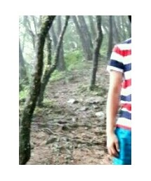 cotton on | Tシャツ/カットソー