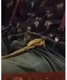 オカダヤ | その他