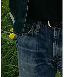 UNIQLO | デニムパンツ