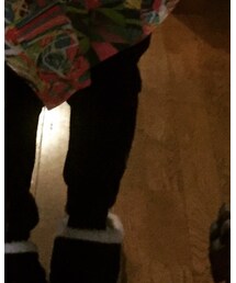 COMME des GARCONS COMME des GARCONS | パンツ