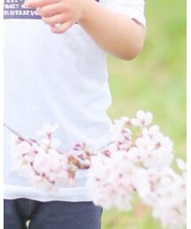 DIESEL | Tシャツ/カットソー