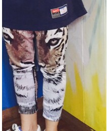 Lexington | レギンス/スパッツ