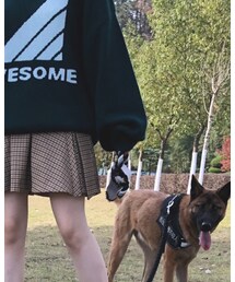 SNIDEL | ニット/セーター