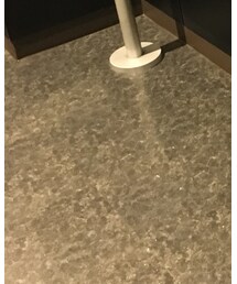 adidas | パンツ
