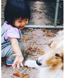 GYMBOREE | Tシャツ/カットソー