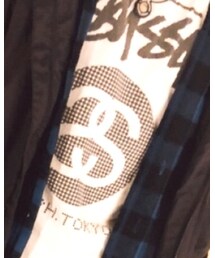 STUSSY | Tシャツ/カットソー