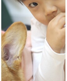 MUJI | ルームウェア/パジャマ