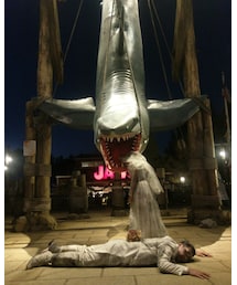 鮫に食われた | セットアップ