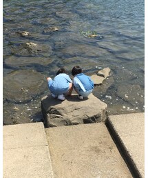 川遊び | その他