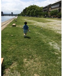 ハト待て〜๛!!(๑⁼̴̀o⁼̴́)੭ु⁾⁾ | その他