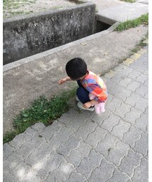 雑草摘み | その他