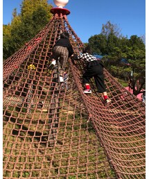 必死に登る♪♪♪ | その他