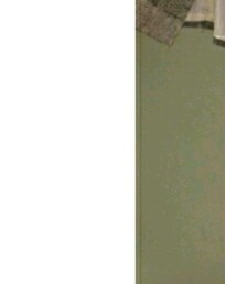 CASIO | アナログ腕時計