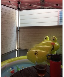 極楽プール🏖 | その他