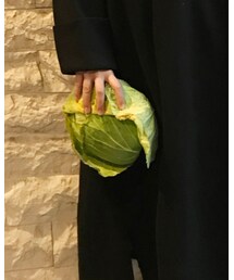 キャベツ65円 | その他