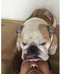 ニイチ | その他