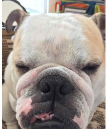 太陽の塔とニイチにてる | その他