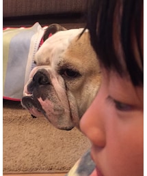 娘越しのニイチ | その他