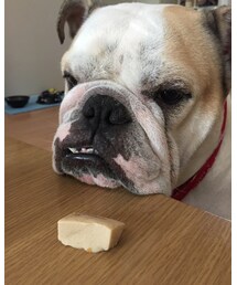 ニイチのガマン | その他