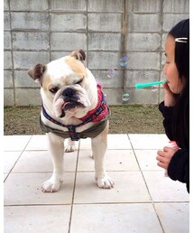 イヤ〜ン❤︎ | その他