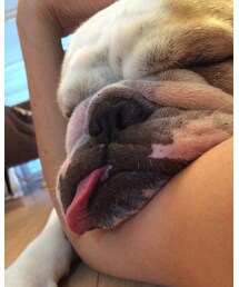 ヘッドロックじゃ無いよ…腕枕だよ❤︎ | その他