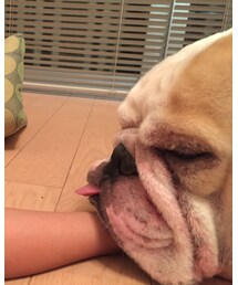 いつも少しだけ舌で出ます💘 | その他