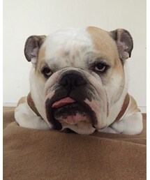 お留守番 | その他