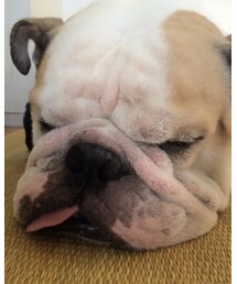 よく食べてよく寝る☻ | その他