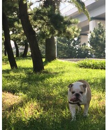 ニイチ旅に出る | その他