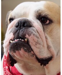 癒し♡ | その他