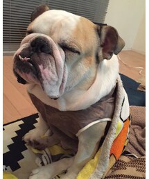 にいち座りながら寝るStyle☻ | その他